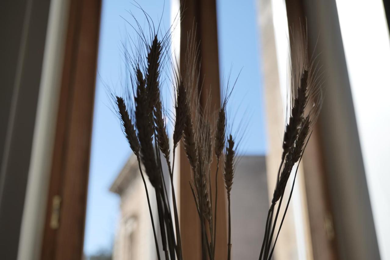 Dimora San Giuseppe Bed and Breakfast Λέτσε Εξωτερικό φωτογραφία